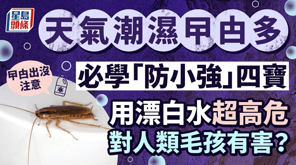 天氣潮濕曱甴多  必學「防小強」四寶  用漂白水超高危  對人類毛孩有害？