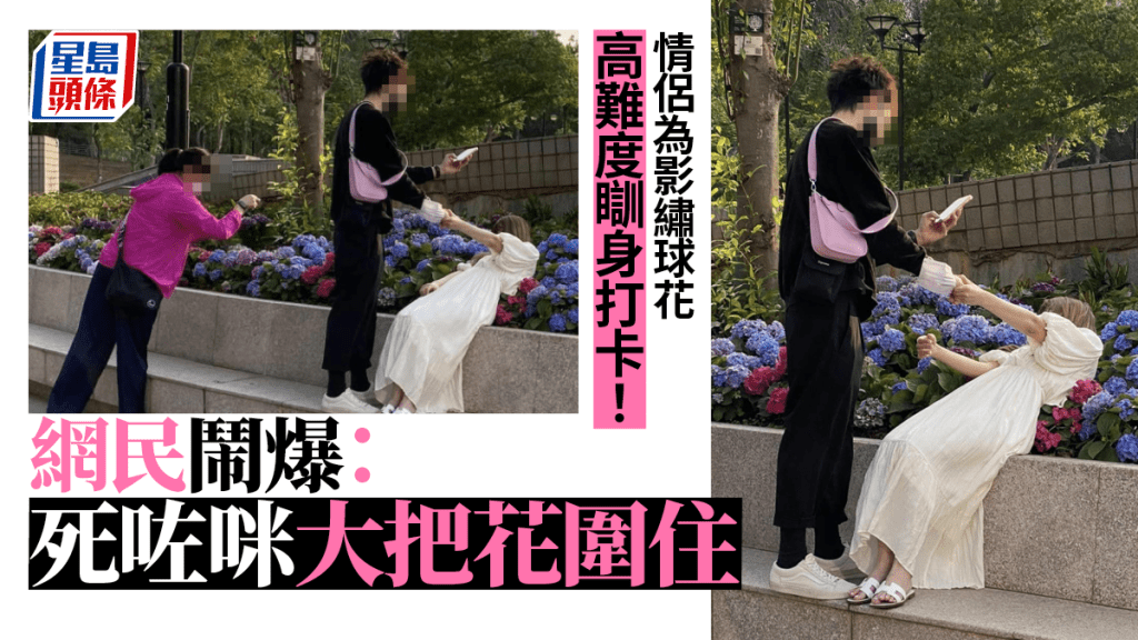 天水圍繡球花賞花情侶瞓身壓花打卡！無視街坊阻止網民嘩然：自私精！