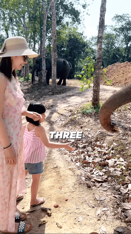 李亞男與王祖藍帶兩女到外地旅行參觀動物園，餵飼動物。