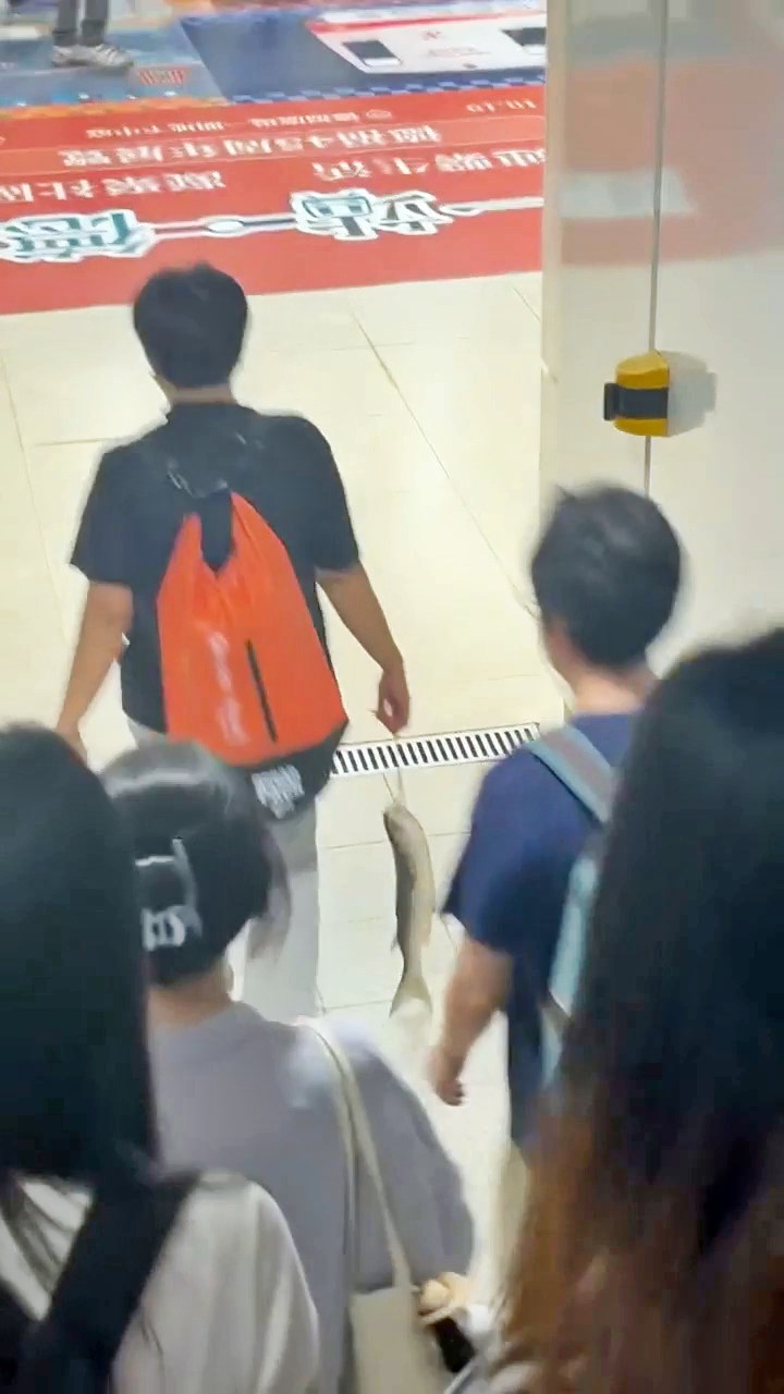 眼仔碌碌的魚兒,魚尾赤裸裸地當街擺動。Threads截圖 眼仔碌碌的魚兒,魚尾赤裸裸地當街擺動。Threads截圖