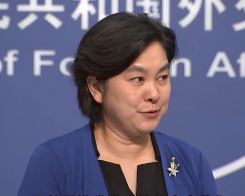 外交部發言人華春瑩指印度是不打自招。網上圖片