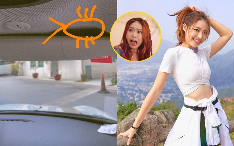 Joey憶述在車廂與「小強」搏鬥的過程。