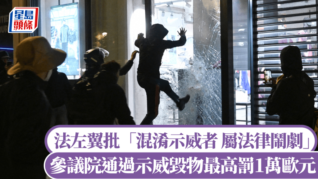 法国参议院通过示威毁物最高罚1万欧元。法新社