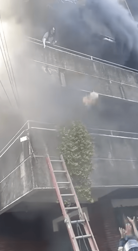 女子將白毛狗狗從露台拋下。FB@IvyBaya 女子將白毛狗狗從露台拋下。FB@IvyBaya