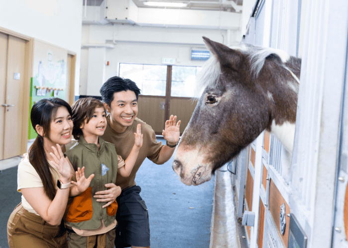 小馬大本營必玩活動2:馬房參觀(圖片來源:香港賽馬會) 小馬大本營必玩活動2:馬房參觀(圖片來源:香港賽馬會)