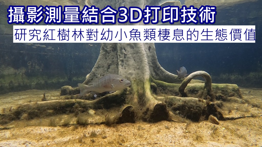 機管局圖片