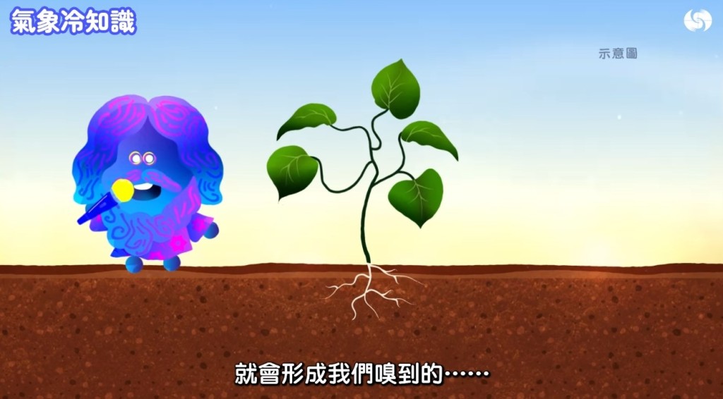 香港天文台《氣象冷知識》「汪汪夢裏聞:下雨的味道」截圖。 香港天文台《氣象冷知識》「汪汪夢裏聞:下雨的味道」截圖。