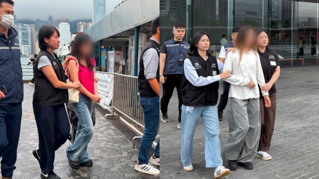 入境处伙旅监局尖沙咀及西九「放蛇」执法 拘两内地女涉非法导游