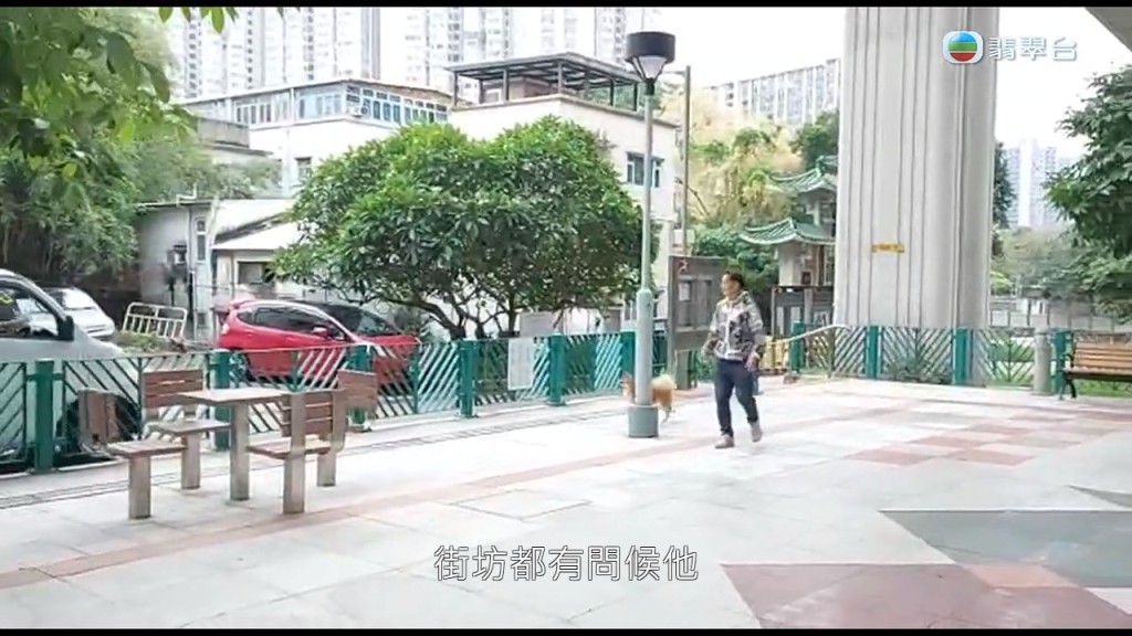 吴大强向《东张西望》提供了今日外出遛狗的影片。