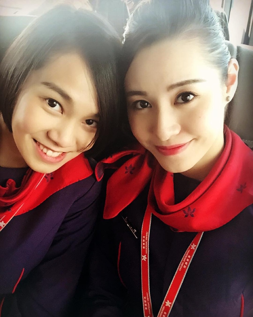 苏可欣选港姐前曾为香港航空的空中服务员。