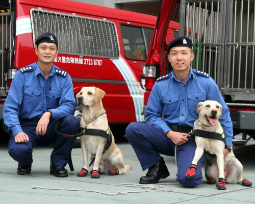 消防處工作犬會輪流當值，「返1日、放1至2日」。 資料圖片