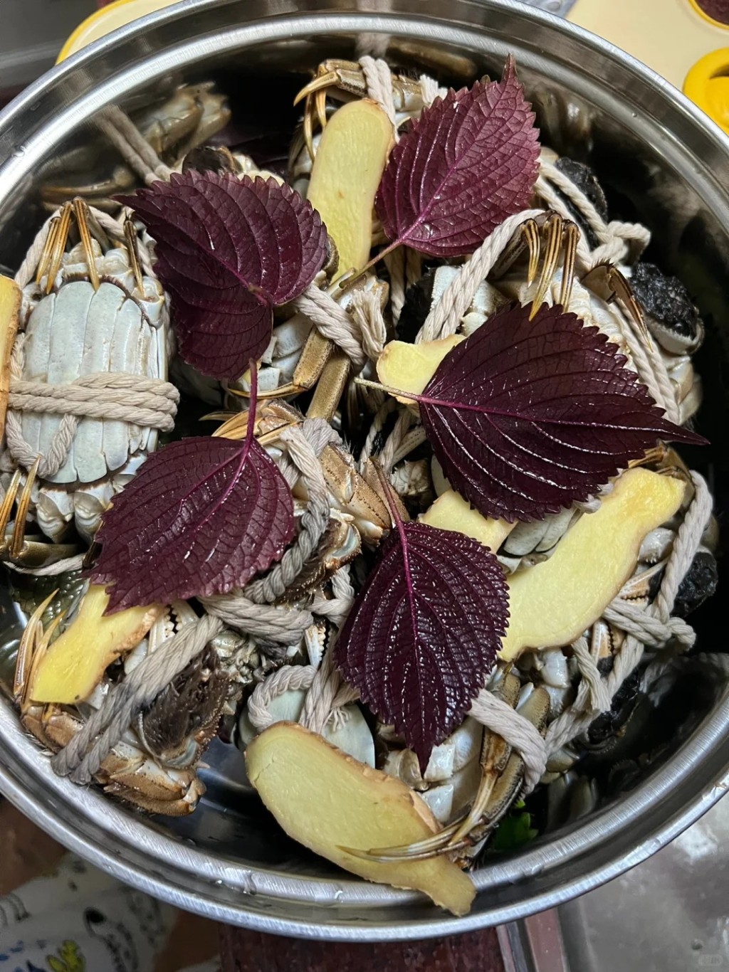 大閘蟹一死,體內細菌會迅速繁殖,毒素即使經高溫煮食也不能消滅。小紅書 大閘蟹一死,體內細菌會迅速繁殖,毒素即使經高溫煮食也不能消滅。小紅書