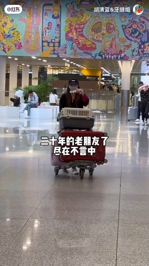 绯闻男友胡清蓝到机场接傅颖机。