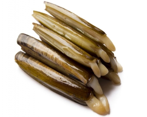 蘇格蘭一款進口冰鮮蟶子疑受脂溶性海洋生物毒素污染。網上圖片