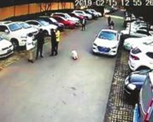 男子護妻趕走小狗，被狗主四人圍毆至腦震盪。網上圖片
