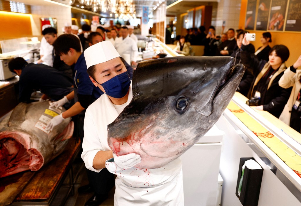 吞拿魚被送到小野寺集團的壽司店。（路透社）