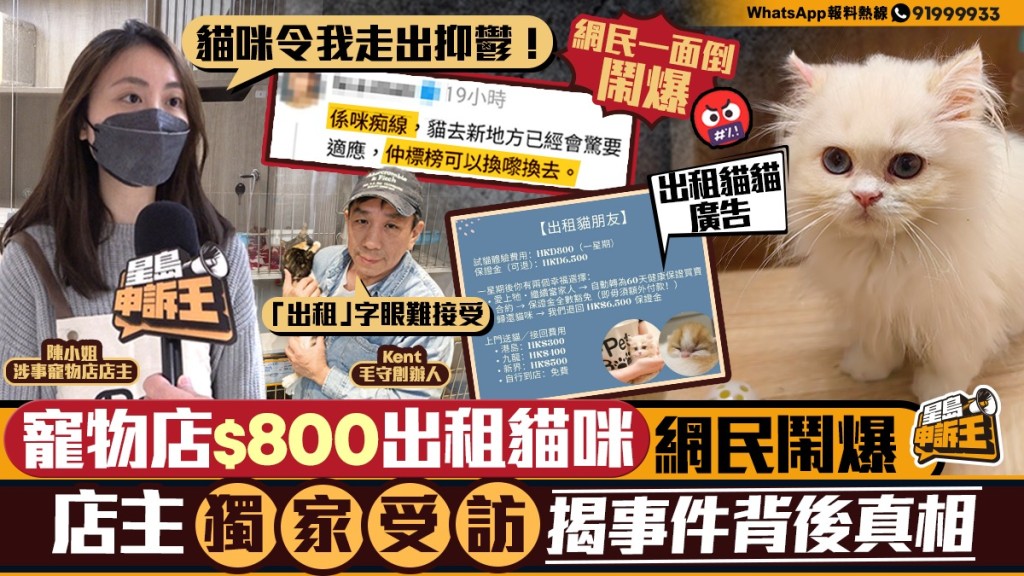 星島申訴王|寵物店$800出租貓咪 網民鬧爆 店主獨家受訪 揭事件背後真相