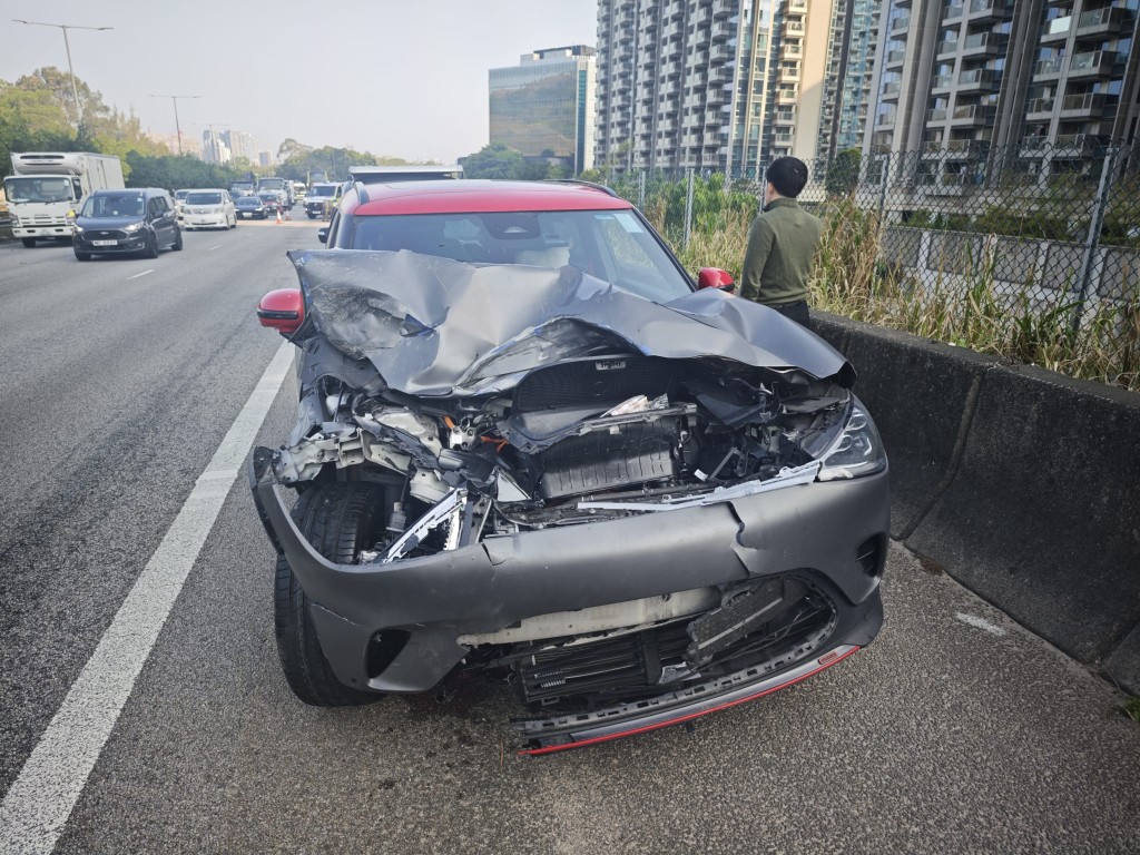 私家車撞到牛隻，車頭損毀。