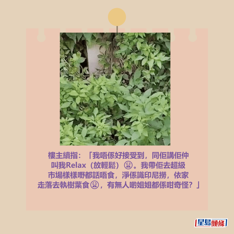 facebook截圖（資料來源：AuthenticCamel3991＠facebook聘請工人姐姐關注組）