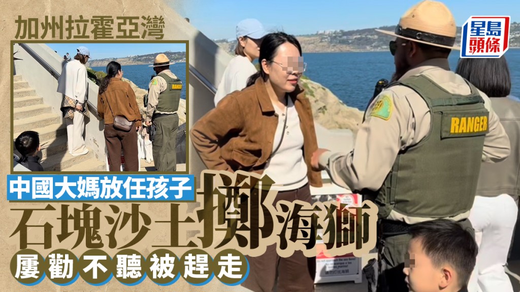 聖地牙哥︱中國大媽放任孩子「石攻」海獅　巡邏員忍無可忍逐出沙灘