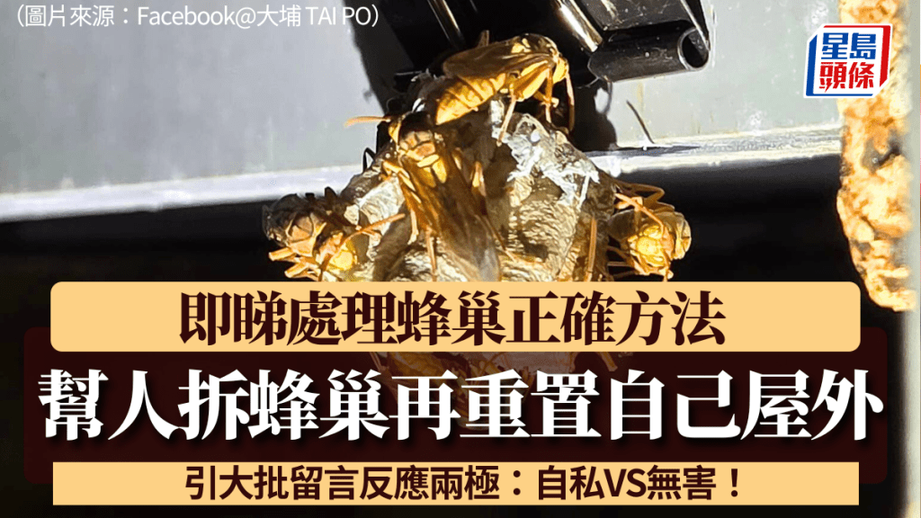 網民稱幫人拆蜂巢再重置自己屋外 引大批留言反應兩極:自私VS無害!即睇處理蜂巢正確方法