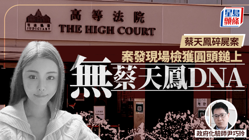 同意事實交代案發現場圓頭鎚上無蔡天鳳DNA。