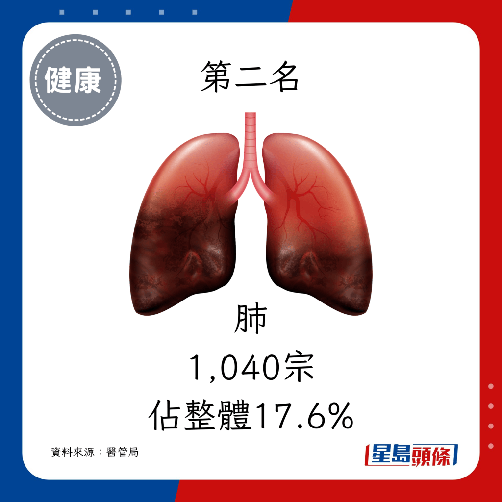 第二名：肺（1,040宗，佔整體17.6%）