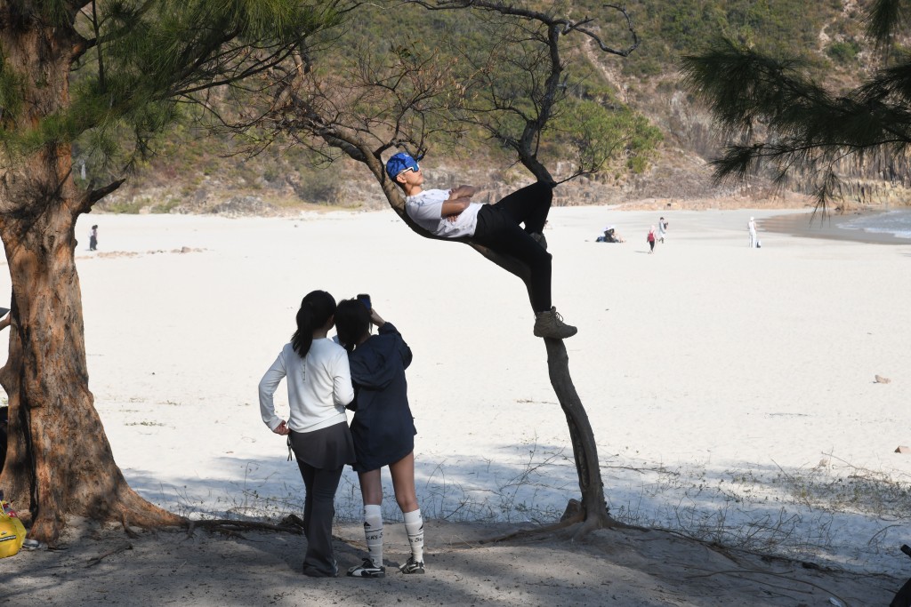 不少遊客花式爬樹。