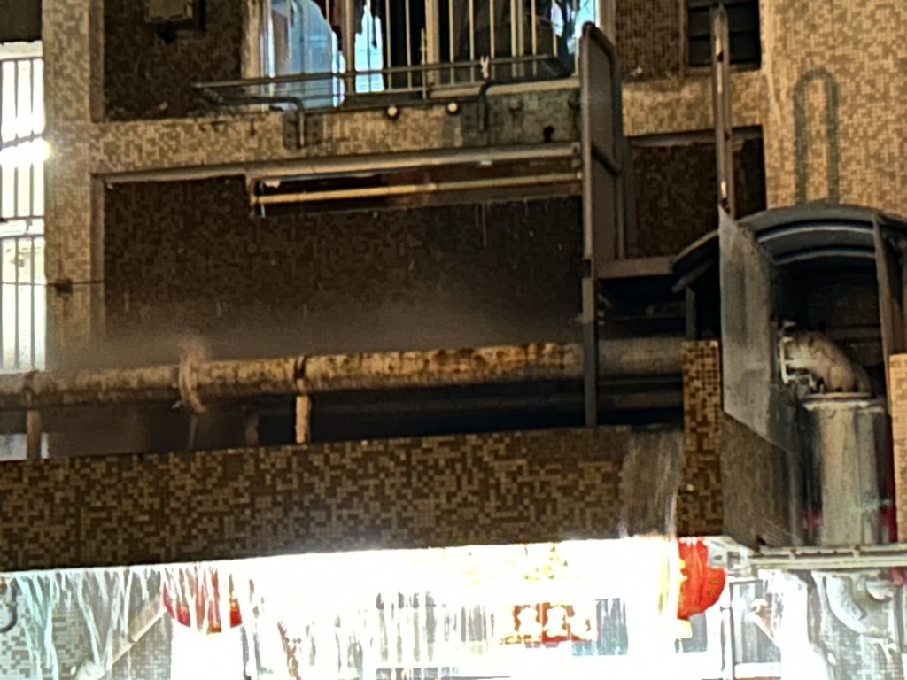 一條安裝在平台的水管突然爆裂。曾志恒攝 一條安裝在平台的水管突然爆裂。曾志恒攝