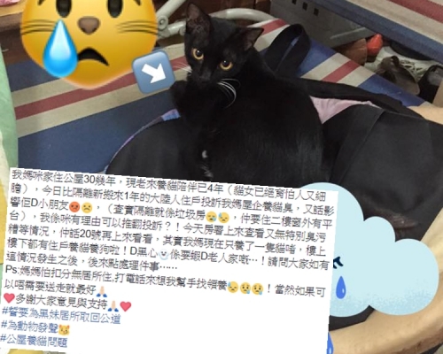 公屋養貓被鄰居投訴。網民LinglingOi Ling Lee圖