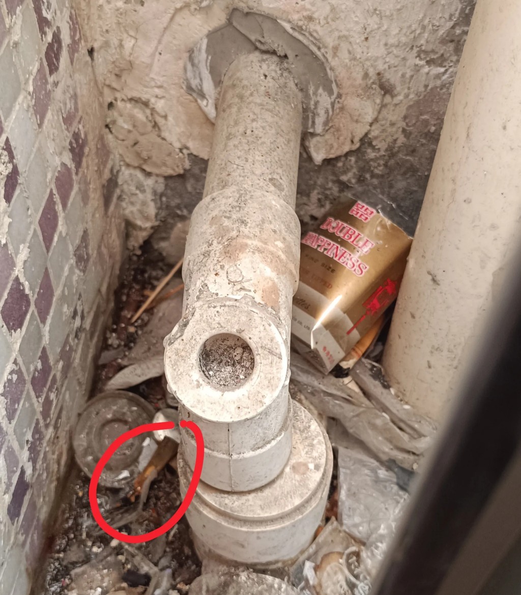 Threads截圖(資料來源:bluebell_raindrop@Threads) Threads截圖(資料來源:bluebell_raindrop@Threads)