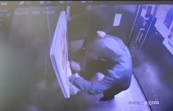 河南冷血母子升降机接力狂踩流浪猫致死，闭路电视揭恶行。