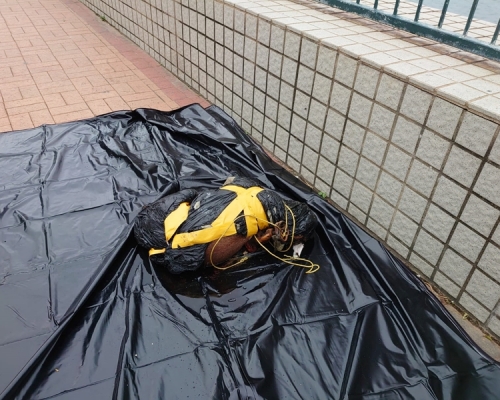 讀者提供相片