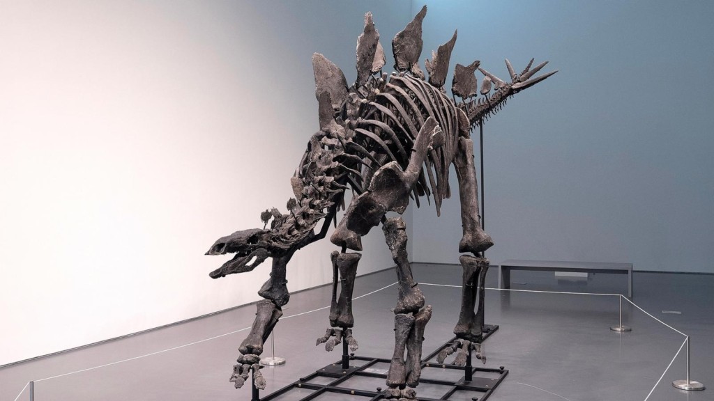 “巅峰”是“迄今为止发现最完整的恐龙骨架之一”。