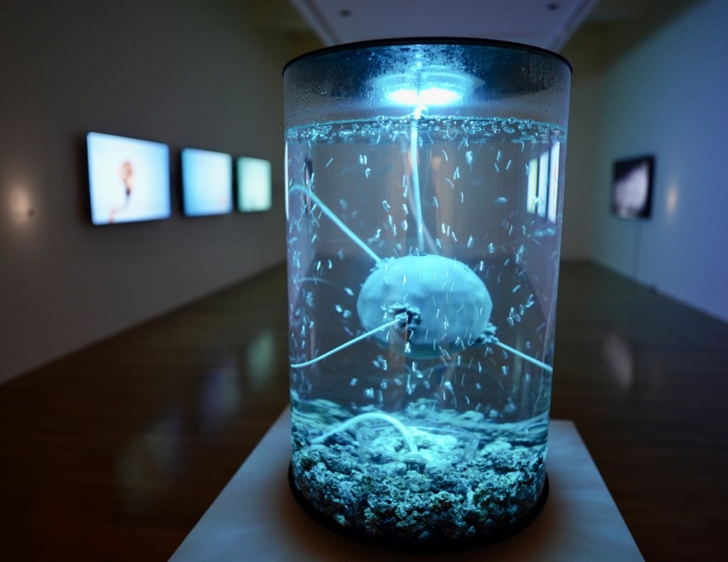 台北市立美术馆《未来身体：超自然雕塑》，通过四大主题展示作品。