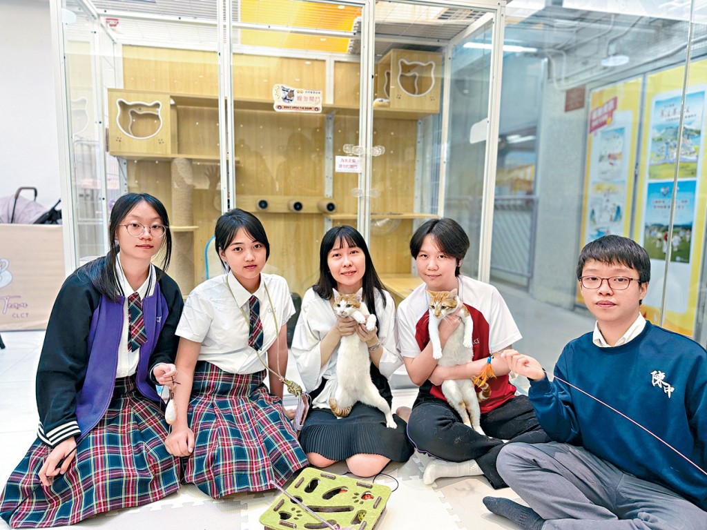 幼貓姐妹花CoCo與Lala，成為陳呂重德紀念中學英語「貓貓Cafe」的生招牌。初中英文科主任陳琬茵（中）稱，貓咪令學生願意開口講英語。