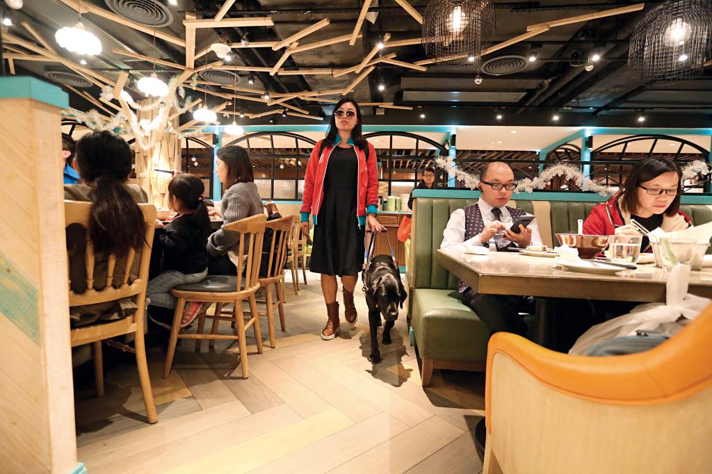 香港相关条例赋权视障人士带同导盲犬出入一般场所。