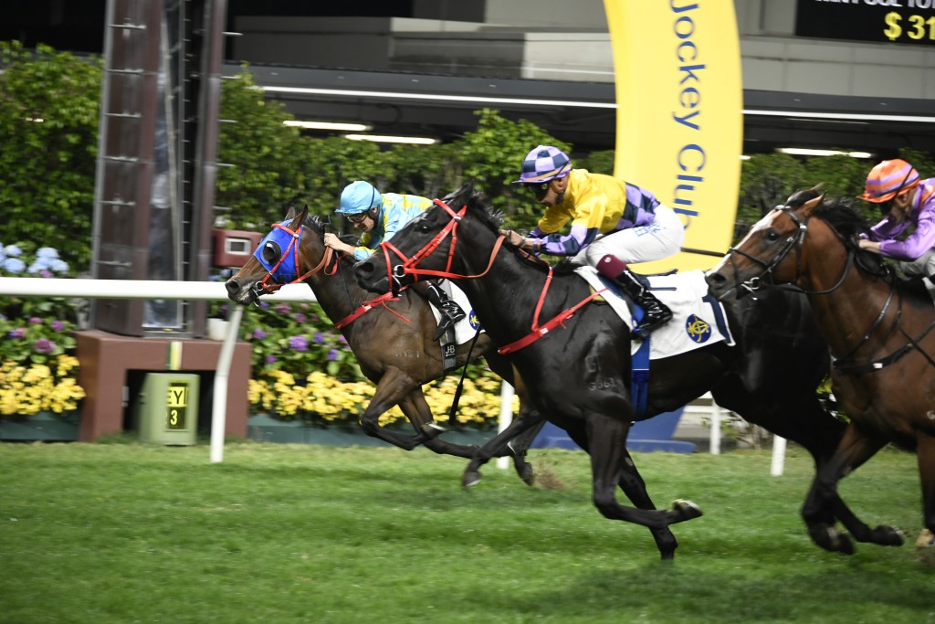 旭日光(外)季內曾勝出紀利華木球會挑戰盃。 旭日光(外)季內曾勝出紀利華木球會挑戰盃。