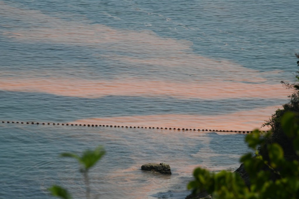 赤柱龟背湾及对开海面疑现红潮。