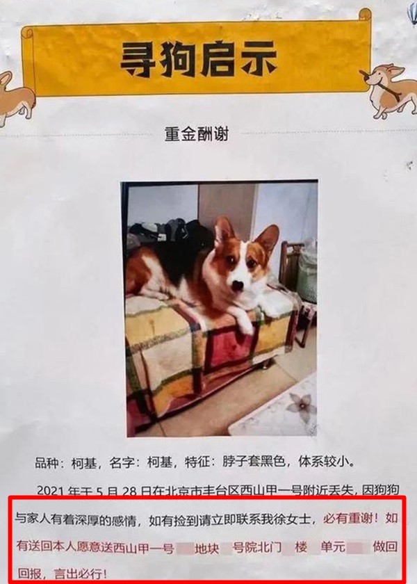 徐女士發出的啟事提到成功尋狗將獲贈單位(紅框)，她解釋原意是「重謝」。網圖