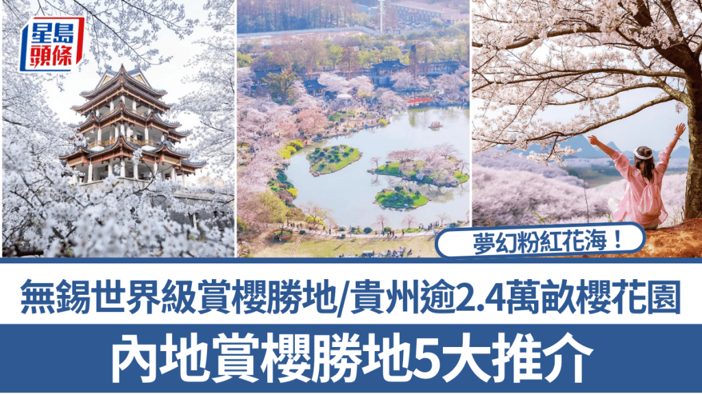  內地賞櫻勝地5大推介！無錫「世界級賞櫻勝地」/貴州逾2.4萬畝櫻花園 染井吉野/大島櫻/罕見鬱金櫻/關山櫻成粉紅花海