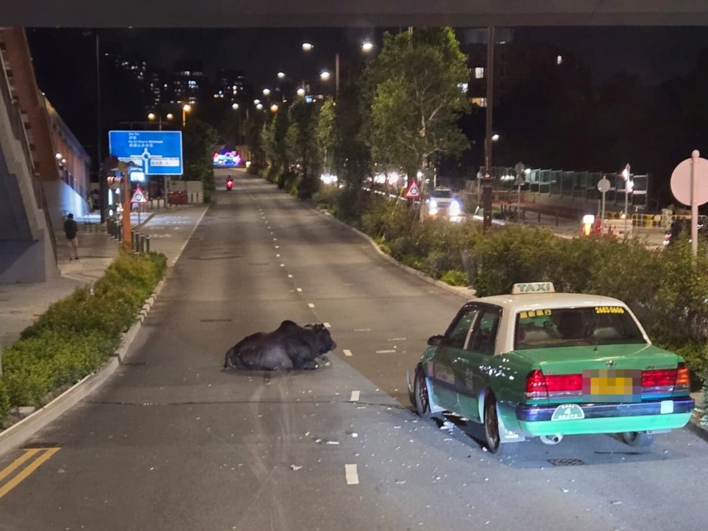 現場為西沙路近舊西沙茶座位置。車cam L（香港群組）FB