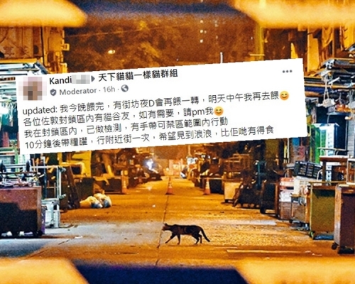 Facebook群組「天下貓貓一樣貓」其中一名版主Kandi，昨日主動遊走「受限區域」為貓貓們送上晚餐。資料圖片（小圖為Facebook截圖）