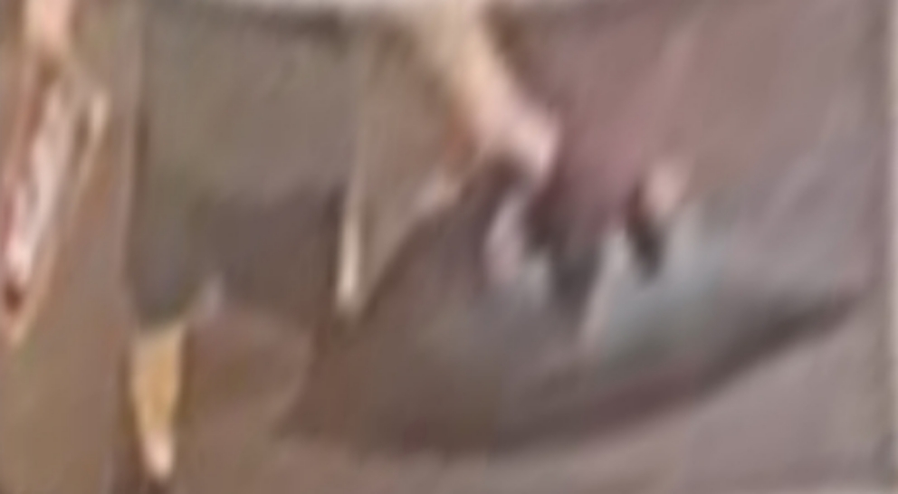 涉案男子曾手持多袋物品。 涉案男子曾手持多袋物品。