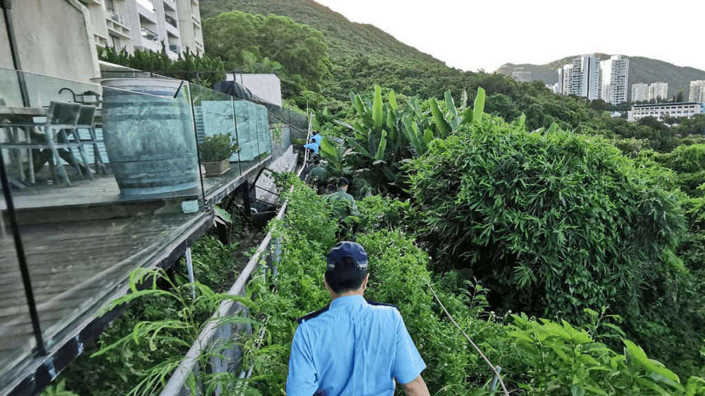 外遊高峰期跨部門大嶼山反爆竊 海陸空巡高危地點