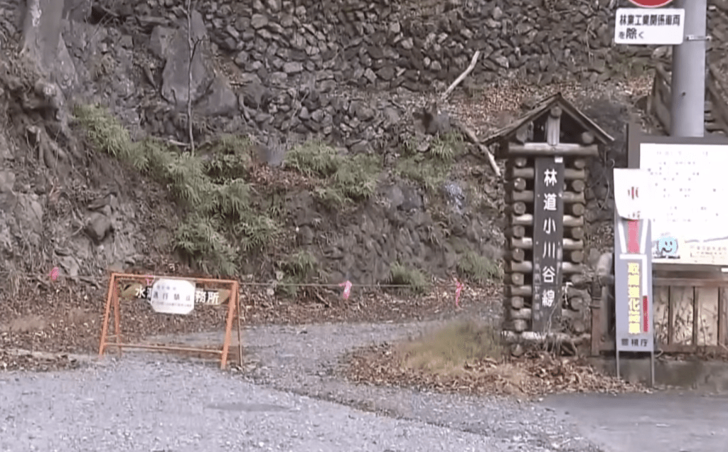 日媒ANN畫面截圖