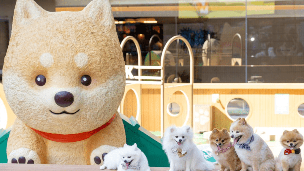 沙田新城市廣場推出全新戶外寵物樂園 。FB圖片
