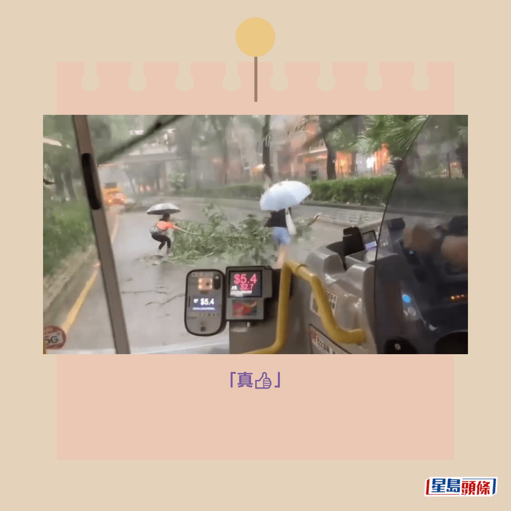 Threads截圖(資料來源:matt_cheng910@Threads) Threads截圖(資料來源:matt_cheng910@Threads)