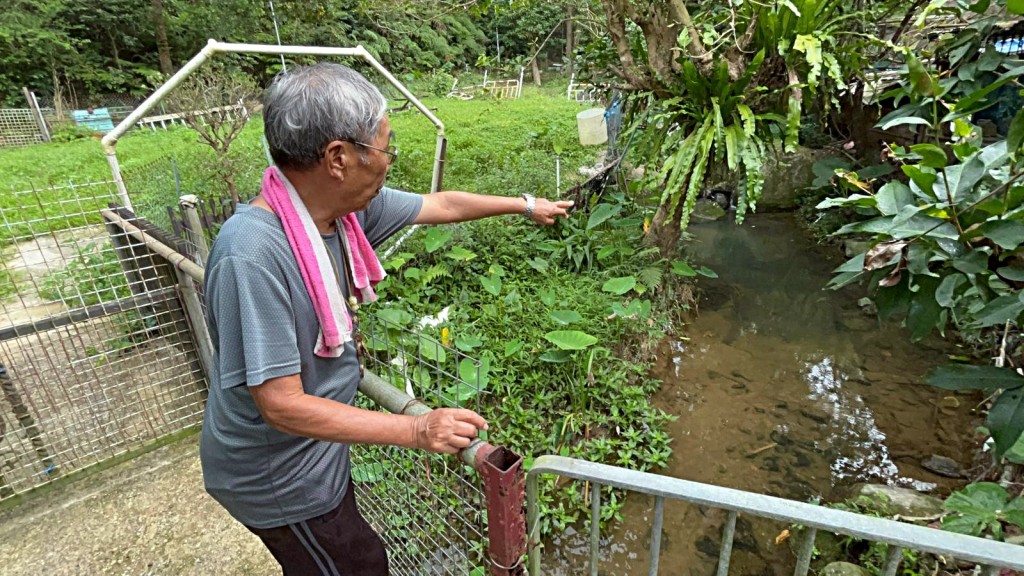 鄺先生指蟒蛇吃掉山羊後躺在溪邊巨石休息。楊偉亨攝