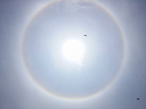 樂富配水庫。Ho Tsz Ching Rita‎社區天氣觀測計劃 CWOS